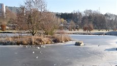 Chlapec utekl před praskajícím ledem na ostrůvek, odtud ho museli zachránit... Chlapec utekl před praskajícím ledem na ostrůvek, odtud ho museli zachránit...