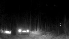 Pirát v Audi školil policisty. Chytli ho u domovních dveří Pirát v Audi školil policisty. Chytli ho u domovních dveří