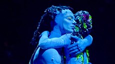 Cirque du Soleil - Toruk - The First Flight Cirque du Soleil - Toruk - The First Flight
