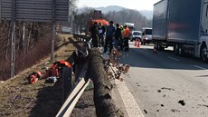 Na 42. kilometru dálnice D1 spadl na muže strom. Letěl pro něj záchranářský... Na 42. kilometru dálnice D1 spadl na muže strom. Letěl pro něj záchranářský...