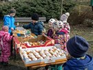 Ochutnávka masopustních koláčů v neděli 3.3.2019. Ochutnávka masopustních koláčů v neděli 3.3.2019.