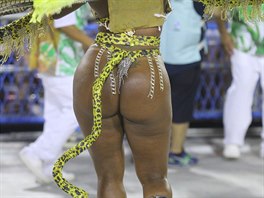 Karneval Rio de Janeiro je pehlídkou obnaených tl.