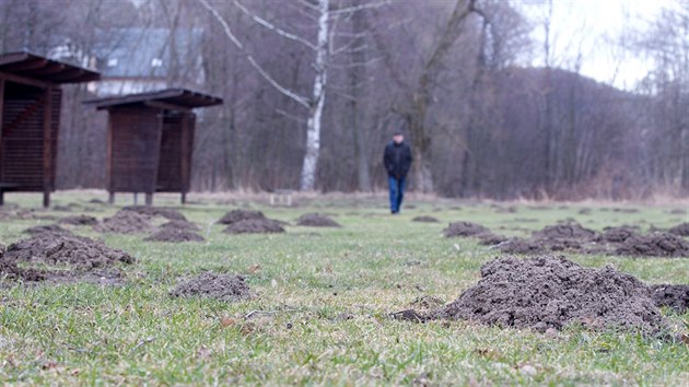 Na zatku bezna pokryly trvnk stovky krtinc