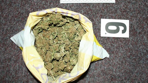 Policie zajistila po rozshl razii na Ivanicku 50 kilogram marihuany.
