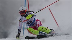 Česká reprezentantka Gabriela Capová ve slalomu ve Špindlerově Mlýně. Česká reprezentantka Gabriela Capová ve slalomu ve Špindlerově Mlýně.