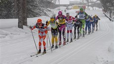 Lyžařka Kateřina Smutná (na snímku třetí zleva s číslem 503) skončila ve Vasově... Lyžařka Kateřina Smutná (na snímku třetí zleva s číslem 503) skončila ve Vasově...