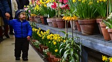 Výstava z cyklu Předjaří na Pražském hradě (1. 3. 2019) Výstava z cyklu Předjaří na Pražském hradě (1. 3. 2019)