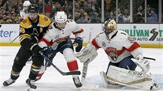 David Krejčí z Bostonu (vlevo) se tlačí před branku Floridy. David Krejčí z Bostonu (vlevo) se tlačí před branku Floridy.