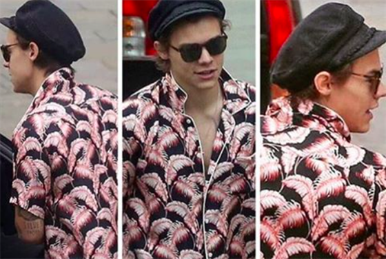 Harry Styles natáí svj první film!