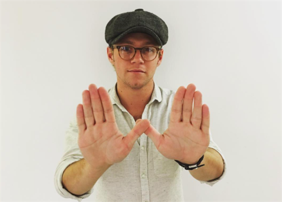 Niall Horan se vrací do svta hudby!