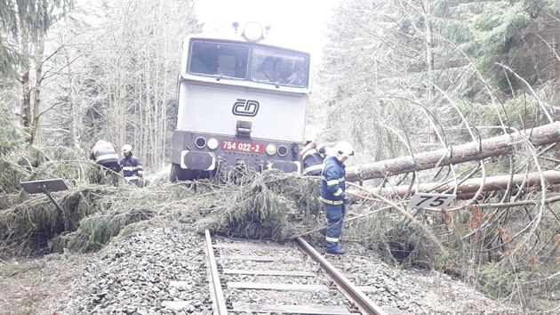 Osobn vlak najel dnes dopoledne na trase Plze - Albtn do spadlho stromu. (11. bezna 2019)