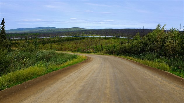 Silnice Dalton Highway protn aljaskou divoinu shustm porostem nzkch jehlinan.