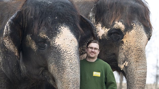 Oetovatel Petr Kiebel se slonicemi Dehli a Kalou ve vbhu steck zoo v prosinci 2012