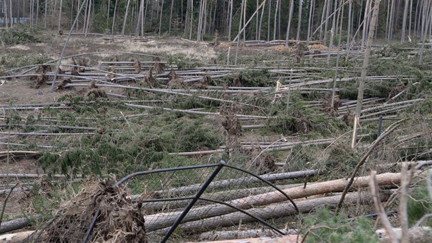 Siln vtr poniil v noci na pondl 11. bezna 2019 arel olomouck zoologick zahrady. Nkter sti zstaly zcela odznut, zahrada proto byla pro nvtvnky doasn uzavena.