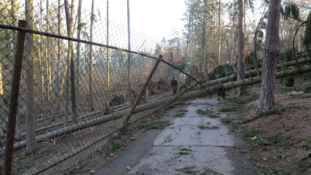 Siln vtr poniil v noci na pondl 11. bezna 2019 arel olomouck zoologick zahrady. Nkter sti zstaly zcela odznut, zahrada proto byla pro nvtvnky doasn uzavena.