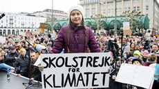 estnáctiletá Greta Thurnbergová na protestech v Nmecku (1. bezna 2019)