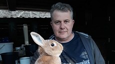 Králík Martina Záhrubského z Dubí na Teplicku zabodoval v konkurenci jedenácti... Králík Martina Záhrubského z Dubí na Teplicku zabodoval v konkurenci jedenácti...