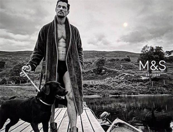 @davidgandy_official, 822 follower