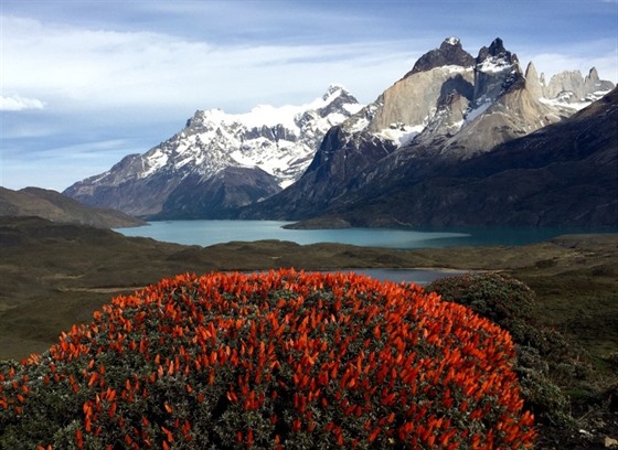Záí: Patagonie