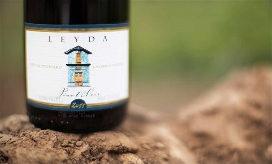 Vina Leyda: Exkluzivní vína z pobeí Chile