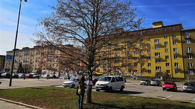 Jeden ze strom v centru Blanska se promnil v bsnkovnk. Pracovnci zdej knihovny na vtve povsili paprky s veri, kter si lid mohou odnst dom.