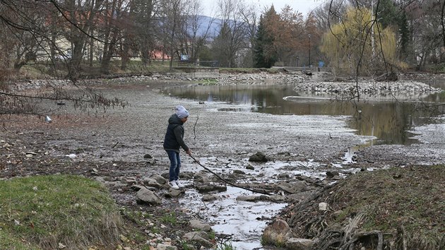 Kvli revitalizaci je mal rybnk v Zmeck zahrad v Teplicch u tm pl roku bez vody, radnice jeho vypoutn zahjila v jnu.