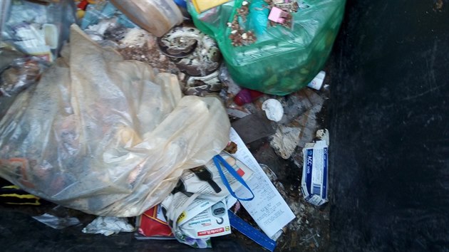 Bezdomovce vyděsil hroznýš v kontejneru.