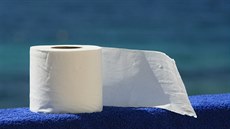 Američané spotřebují na osobu a týden tři role toaletního papíru, poškozuje to... Američané spotřebují na osobu a týden tři role toaletního papíru, poškozuje to...