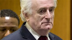 Bývalý vdce bosenských Srb Radovan Karadi pi jednání mezinárodního soudu v...