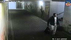 Policie hledá svědka, který mohl vidět krádež na nádraží Policie hledá svědka, který mohl vidět krádež na nádraží