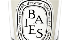 Svíka Baies, DIptyque, Ingredients, 1300 K