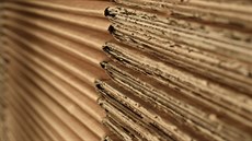 Archivaci papírových dokumentů zvládne firma i svépomocí Archivaci papírových dokumentů zvládne firma i svépomocí
