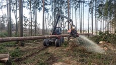 Následky kalamitní vichřice, při které spadlo v olomoucké zoo zhruba 600 až 800... Následky kalamitní vichřice, při které spadlo v olomoucké zoo zhruba 600 až 800...