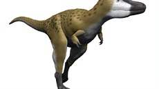 Rekonstrukce přibližného vzezření mladého subadulního jedince druhu... Rekonstrukce přibližného vzezření mladého subadulního jedince druhu...