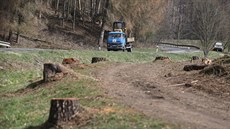 Jedním z vedlejších efektů kůrovcové kalamity bude možná vyšší bezpečnost na... Jedním z vedlejších efektů kůrovcové kalamity bude možná vyšší bezpečnost na...