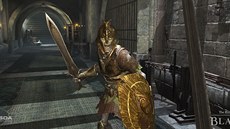 The Elder Scrolls: Blades The Elder Scrolls: Blades