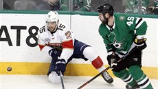 Obránce Dallasu Roman Polák se adí k posledním hrám NHL, kteí nastupují bez ochrany oí.