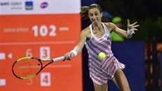 Chorvatská tenistka Petra Martičová returnuje na turnaji v Miami. Chorvatská tenistka Petra Martičová returnuje na turnaji v Miami.