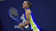Karolína Plíšková na turnaji v Miami. Karolína Plíšková na turnaji v Miami.