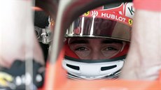 Charles Leclerc během tréninku na Velkou cenu Bahrajnu formule 1 Charles Leclerc během tréninku na Velkou cenu Bahrajnu formule 1