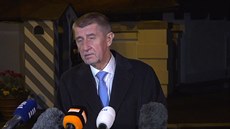 Andrej Babi na tiskové konferenci po veei s prezidentem Zemanem (25. bezna...