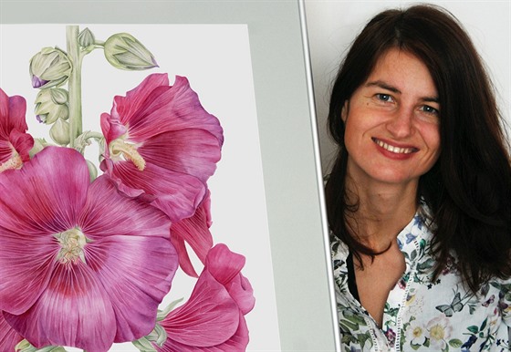 Pavlína Kourková se vnuje botanickému umní, výtvarné tvorb a ilustracím.