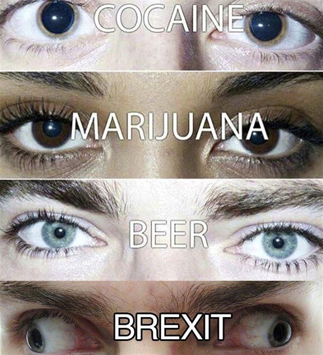 Kokain, marihuana, pivo, brexit.