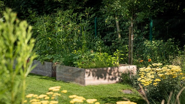 Pstujeme zeleninu v krsn upraven zahrad (Trendy v prav zahrad pro rok 2019 podle zahradnho architekta Ferdinanda Lefflera)