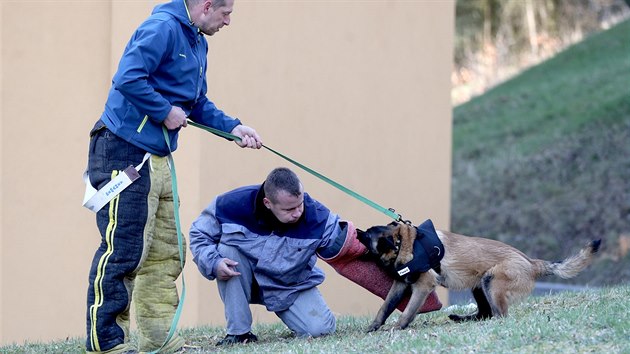Ukzka vcviku ps z vznice Bytz v rmci projektu Ochrana obyvatelstva pi mimodnch udlostech 
(2.4.2019)