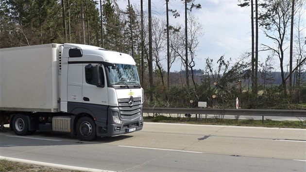 Provoz na D1 u Jihlavy zastavily popadan stromy, tvoily se kolony.