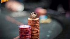 Největší turnaj pokeru v pevninské Evropě začíná 7. dubna v Rozvadově Největší turnaj pokeru v pevninské Evropě začíná 7. dubna v Rozvadově
