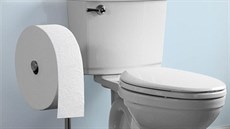 Průměrná spotřeba toaletního papíru ve Spojených státech amerických činí až tři... Průměrná spotřeba toaletního papíru ve Spojených státech amerických činí až tři...