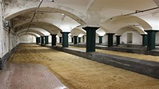 Kvalita sladovnického ječmene, který slouží k výrobě piva, se vinou sucha... Kvalita sladovnického ječmene, který slouží k výrobě piva, se vinou sucha...