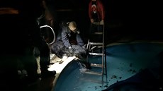 Pes skočil do bazénu a nemohl ven. Pomáhali mu strážníci. Pes skočil do bazénu a nemohl ven. Pomáhali mu strážníci.